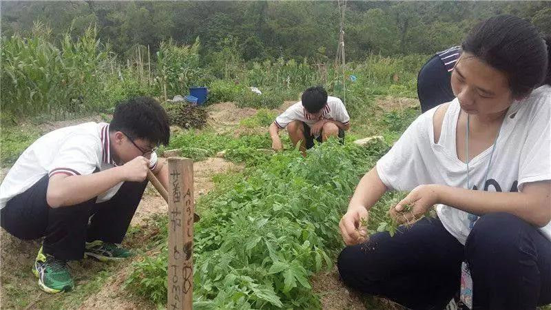 微信图片_20180511145932.jpg