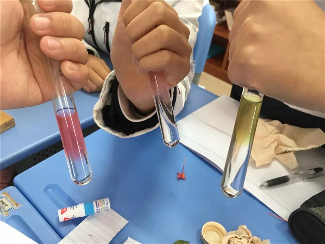 【北大附校】趣味化学实验 自制酸碱指示剂——记初中部理综科组自制
